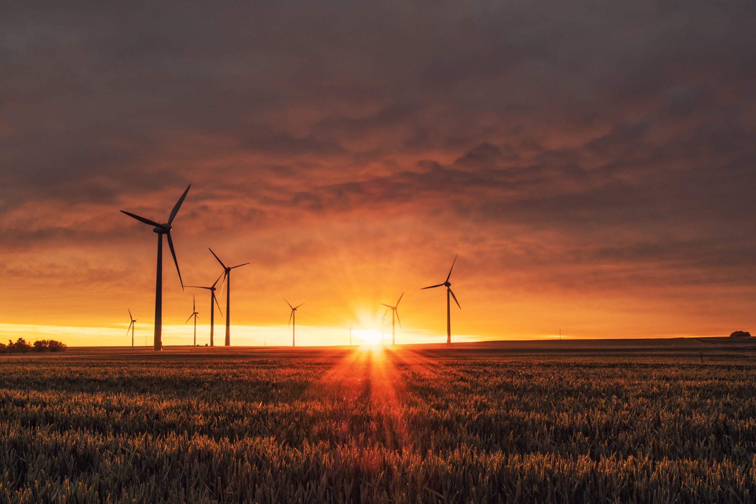 A photo of windmills and the sun setting